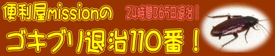 便利屋mission神戸ゴキブリ退治